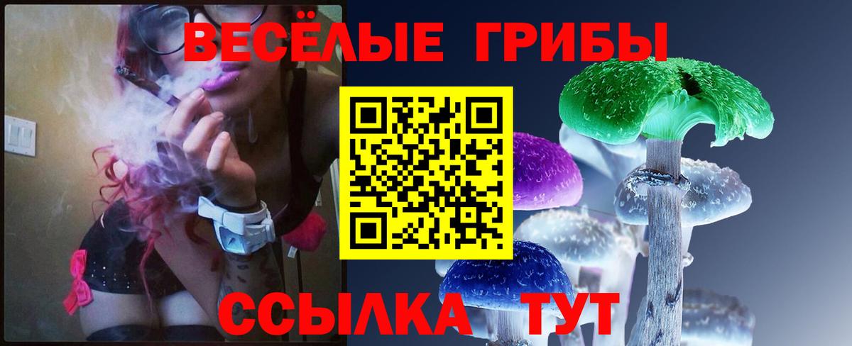 Галлюциногенные грибы ЛСД  Псилоцибиновые грибы Cubensis  Калининград  Вход с VPN 